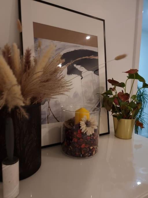 Cozy Modern Flat In Angel Islington * London