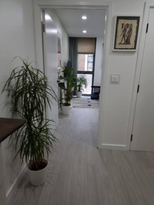 Cozy Modern Flat In Angel Islington Leilighet