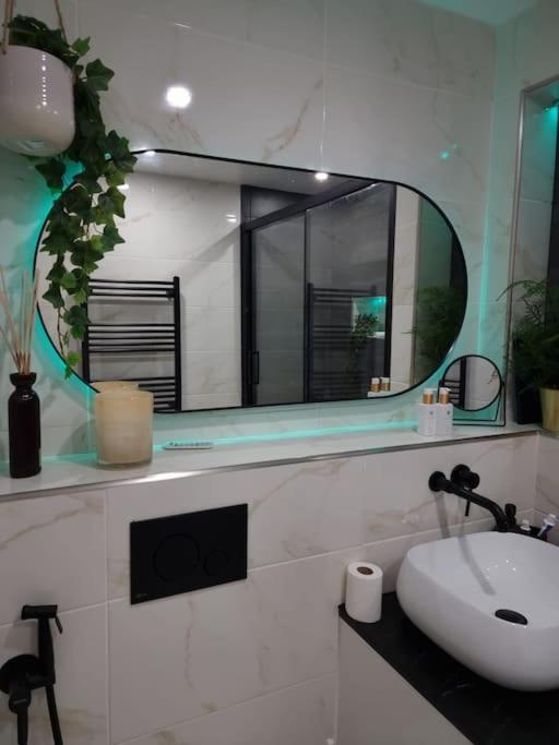 Apartment Cozy Modern Flat In Angel Islington