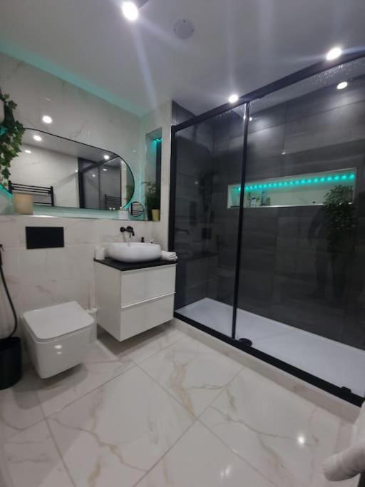 Apartment Cozy Modern Flat In Angel Islington