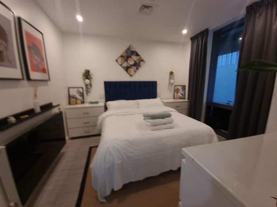 Apartment Cozy Modern Flat In Angel Islington