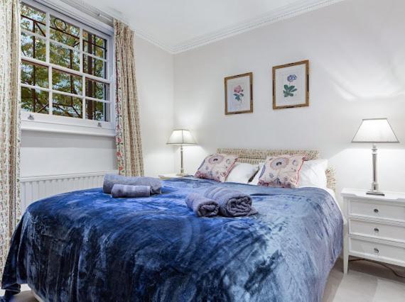 Chelsea Snug With Garden London