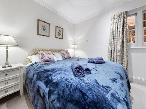 Chelsea Snug With Garden Apartment *
