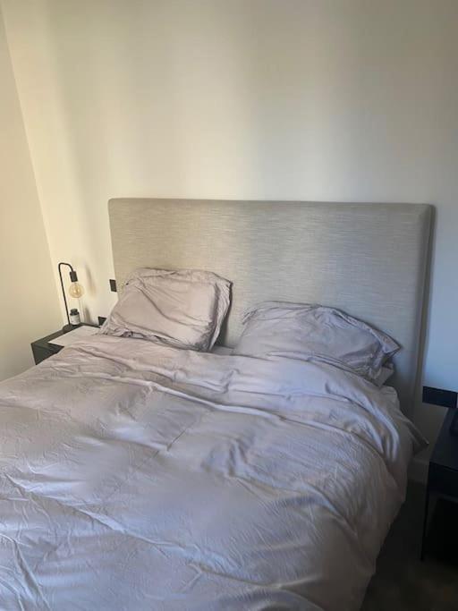 New In Apartment *