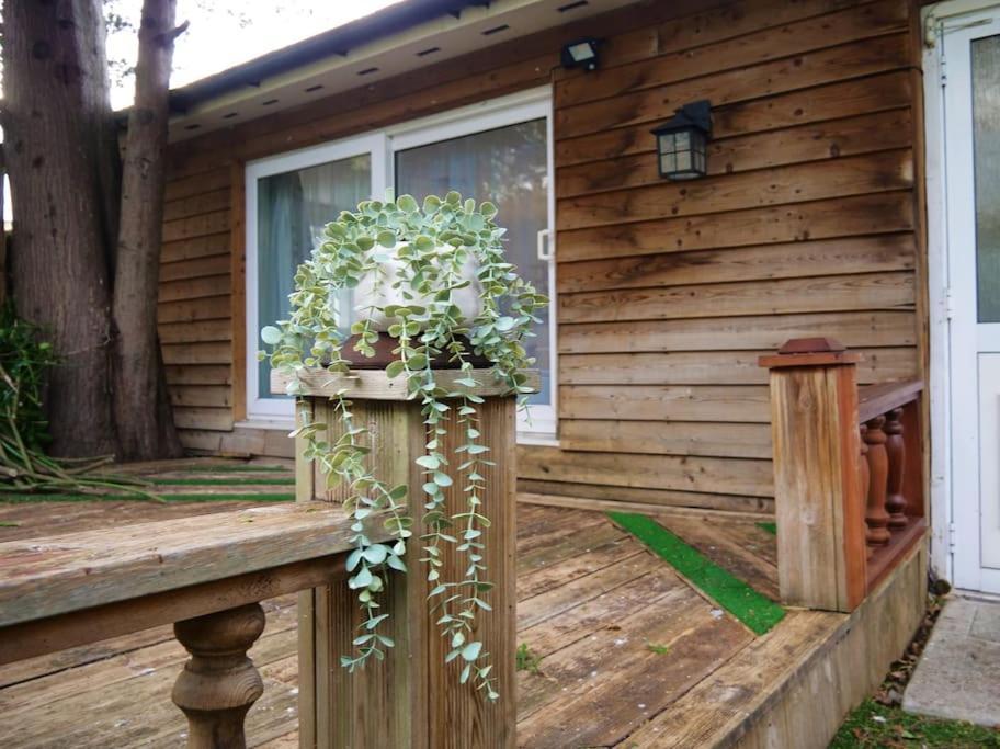 Apartment Charming Garden Hideaway! *