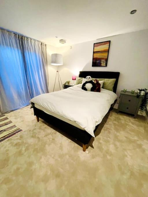 New! Stylish 3-bed With Garden