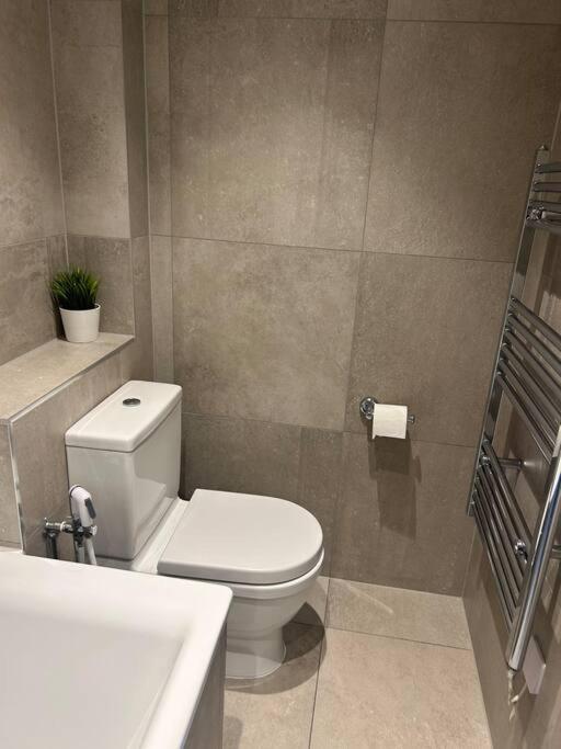 Stylish Penthouse London-zone 1 Apartment