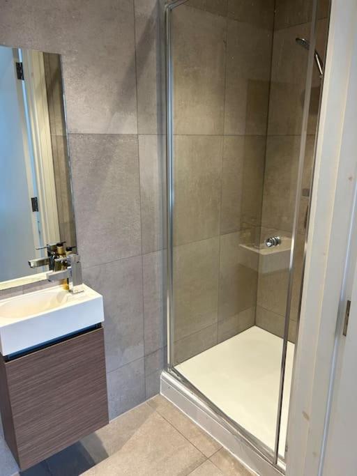 Stylish Penthouse London-zone 1 Apartment