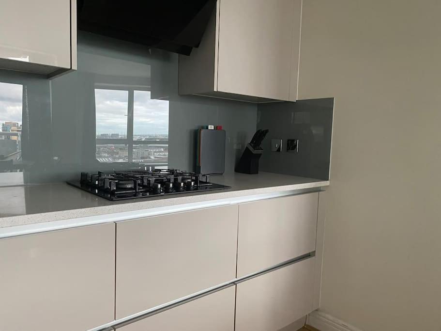 2 Bedroom Royal Docks Riverside Leilighet London