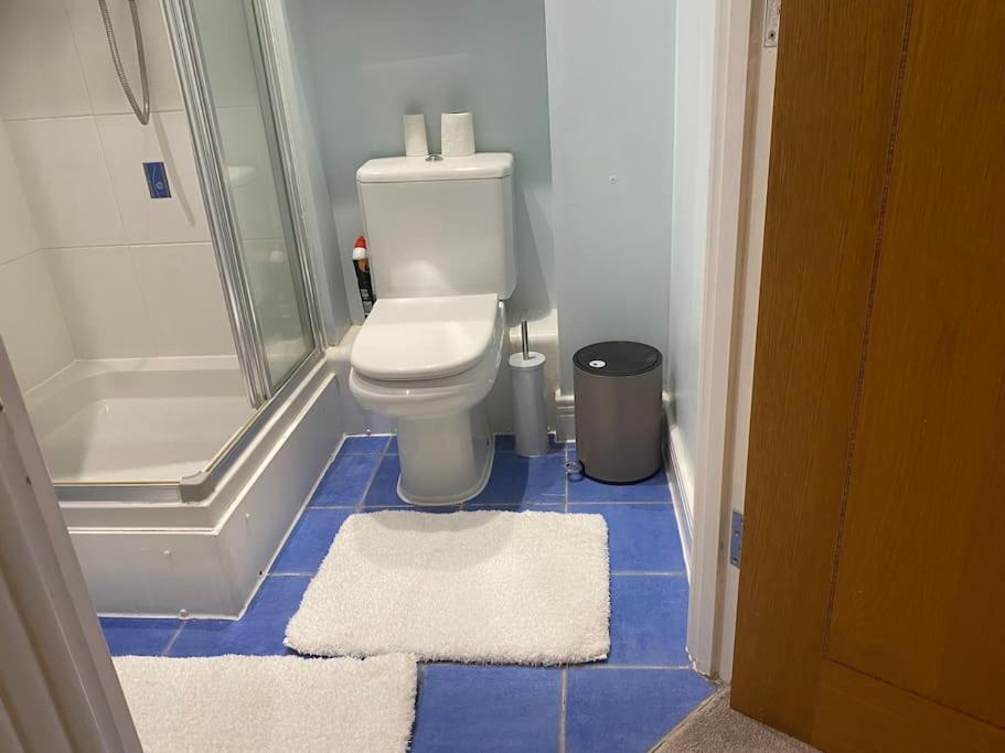 2 Bedroom Royal Docks Riverside Leilighet London