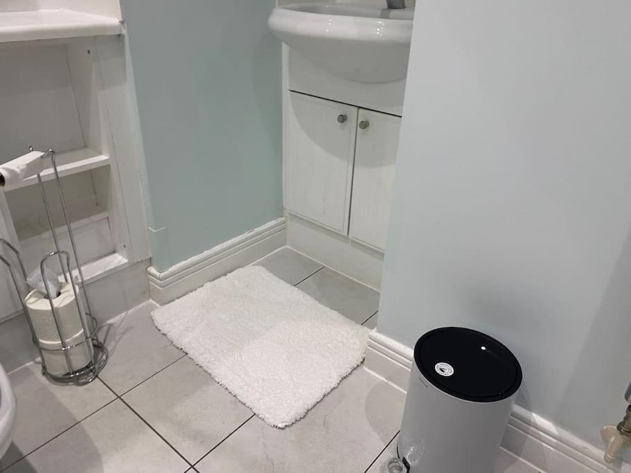 Leilighet 2 Bedroom Royal Docks Riverside London