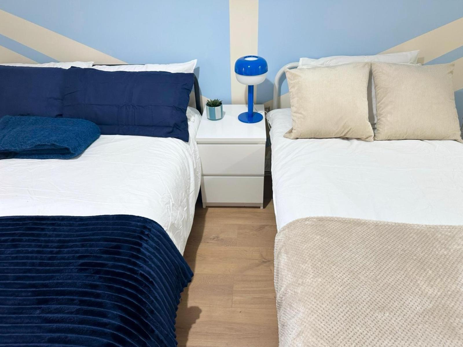 Apartment Blue Rose