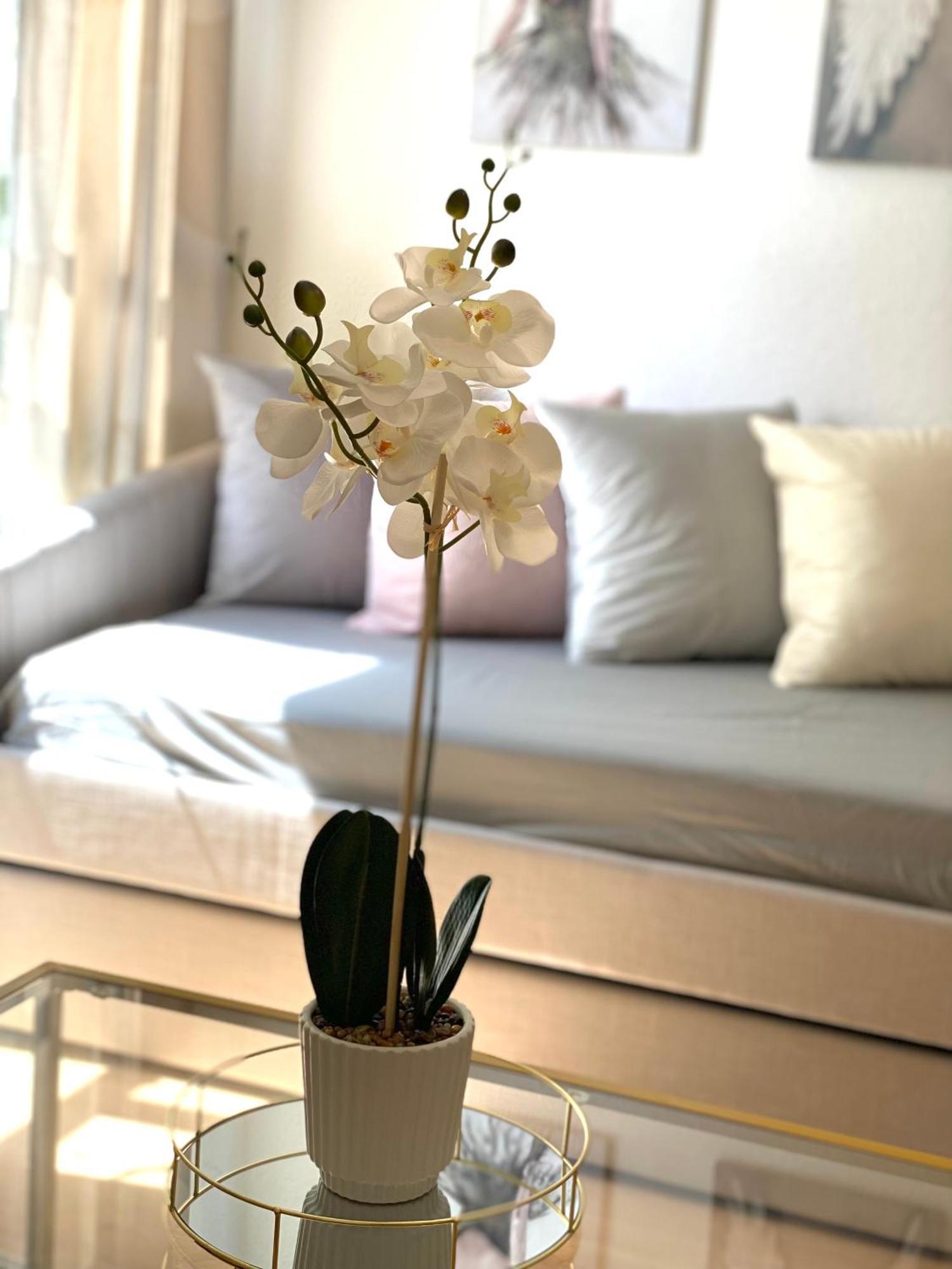 Hyde Park Family Apartment *