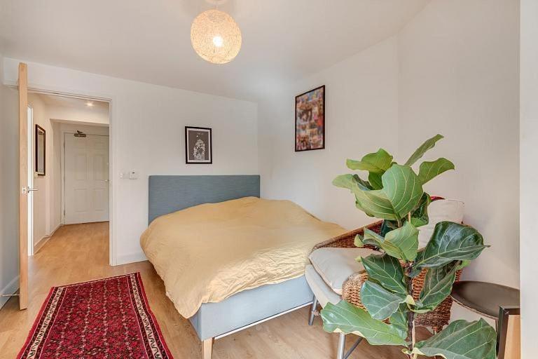 Cozy Bright By Canonbury And Newington N1 Apartment London