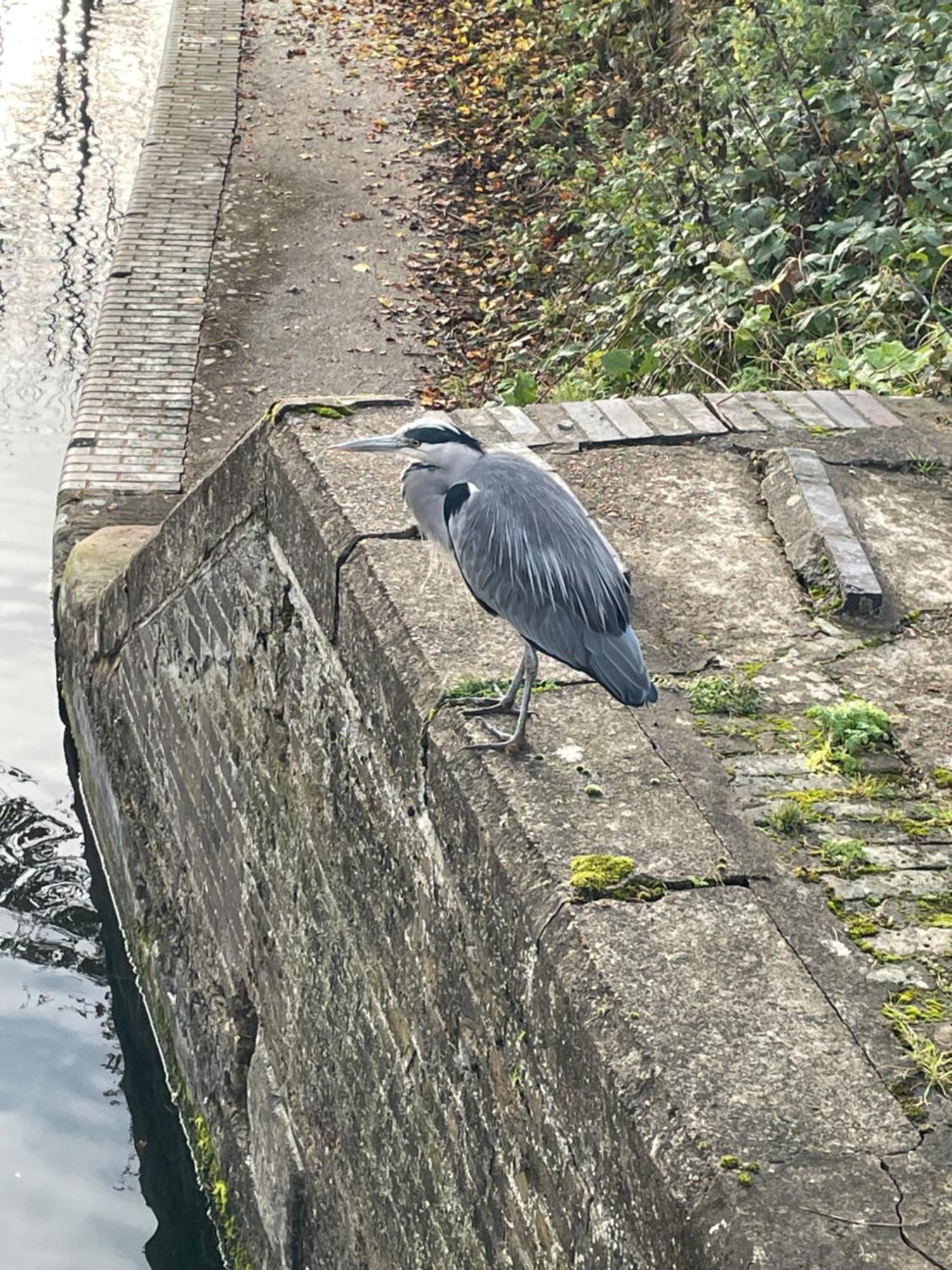 Comfy Canal In Little Venice For Family & Friends * London