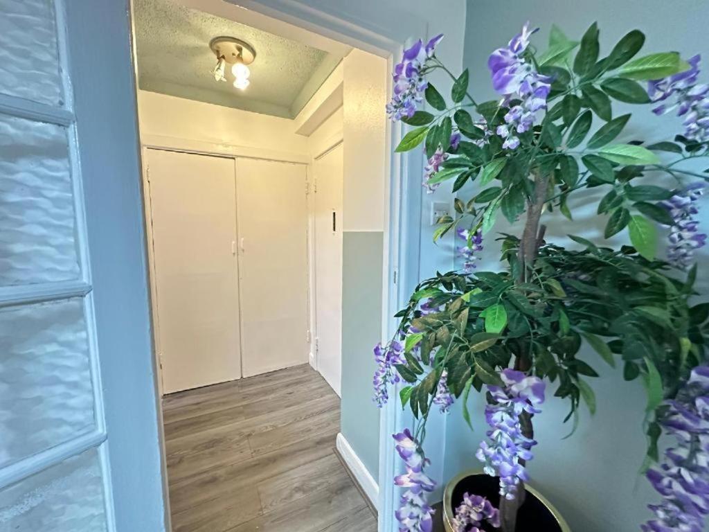 Park Lane Beautiful Apartamento Londres