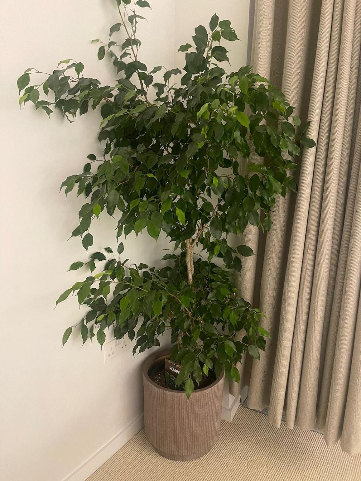Luxury 1 Bedroom In Apartment
