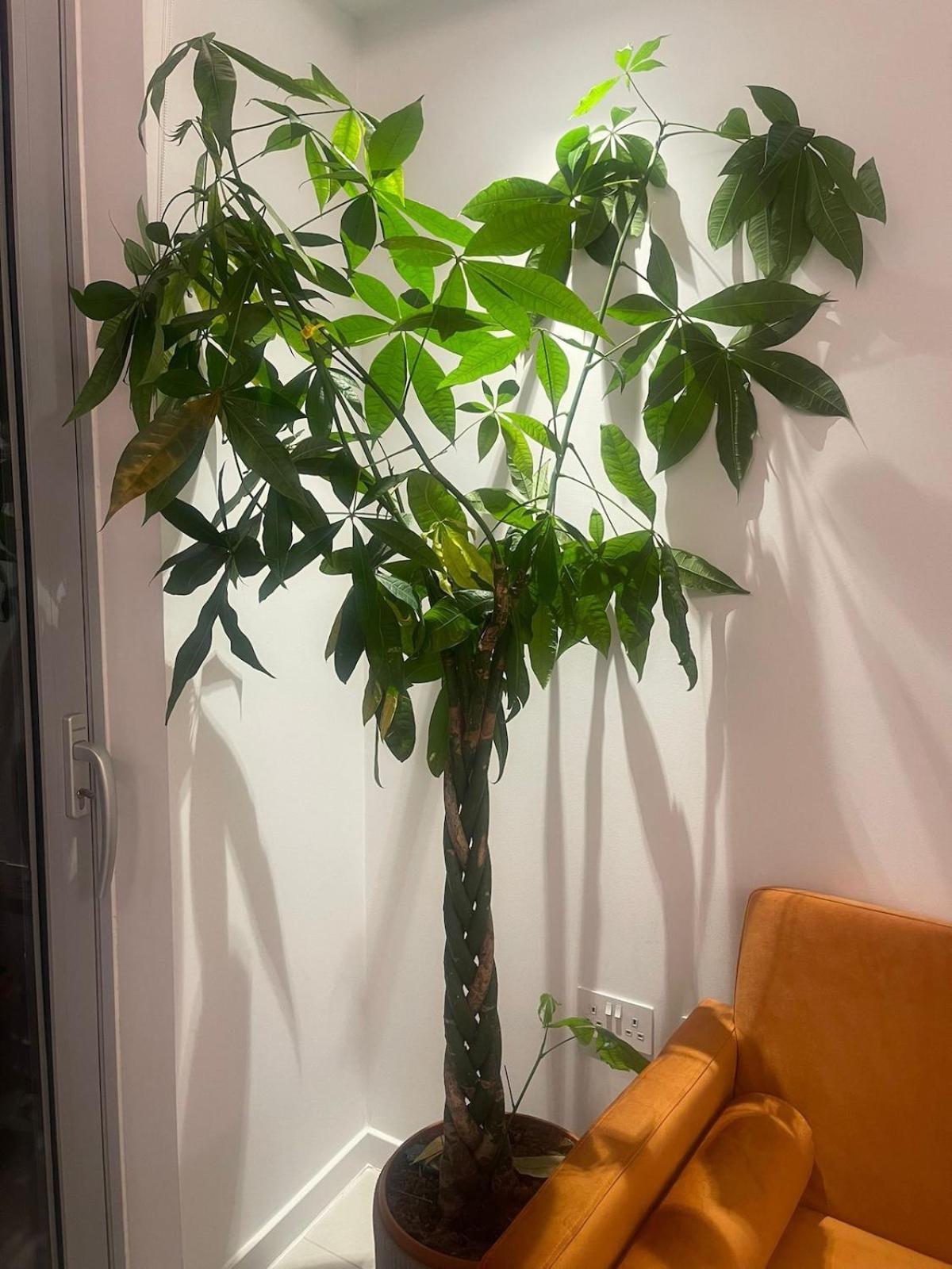 Luxury 1 Bedroom In Apartment London