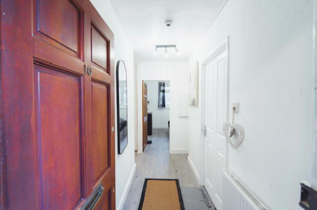 Apartment 1 Bed-park View-balcony-wifi-pet Friendly *