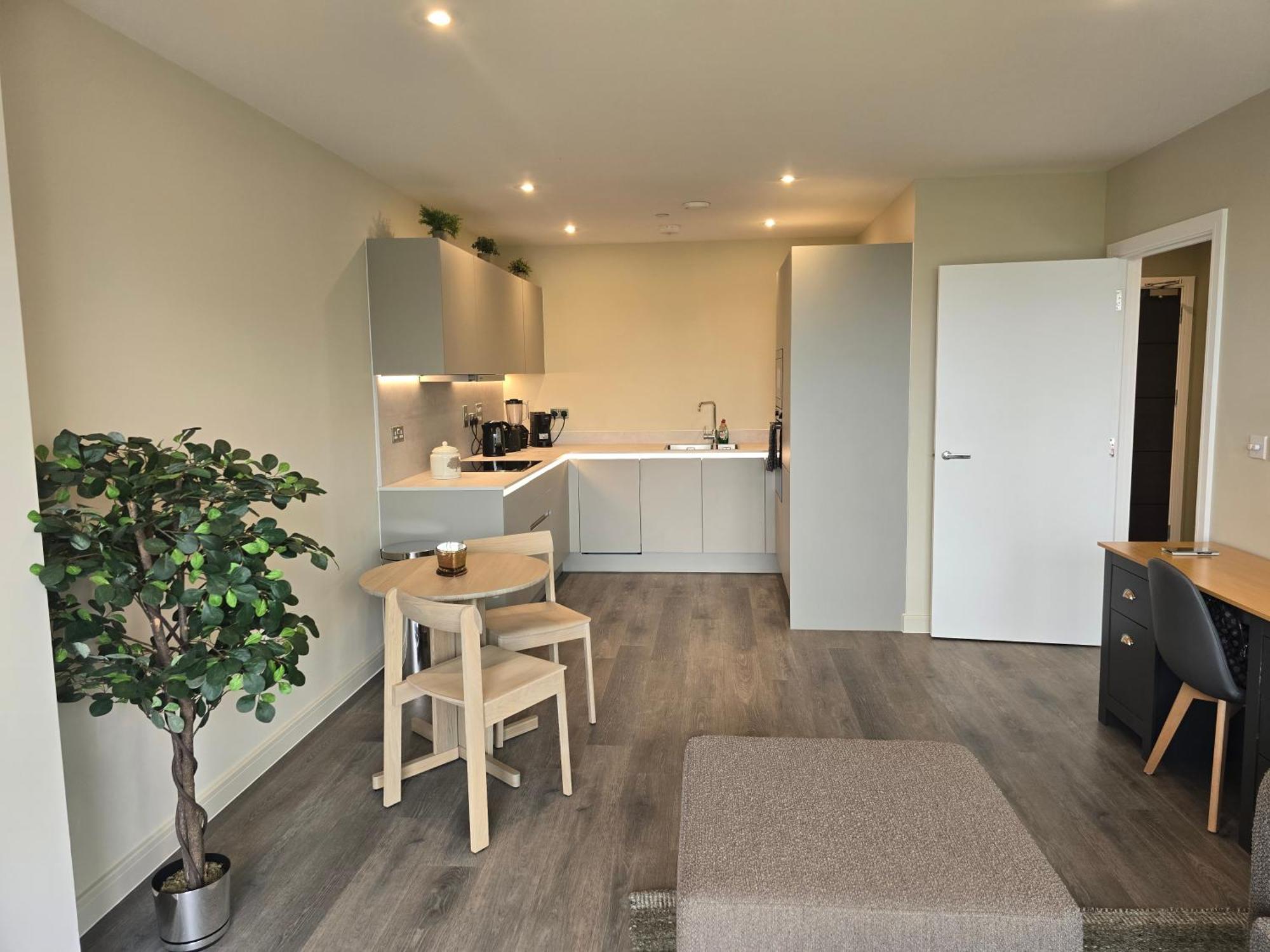 Luxury One Bedroom Flat With Balcony Apartment