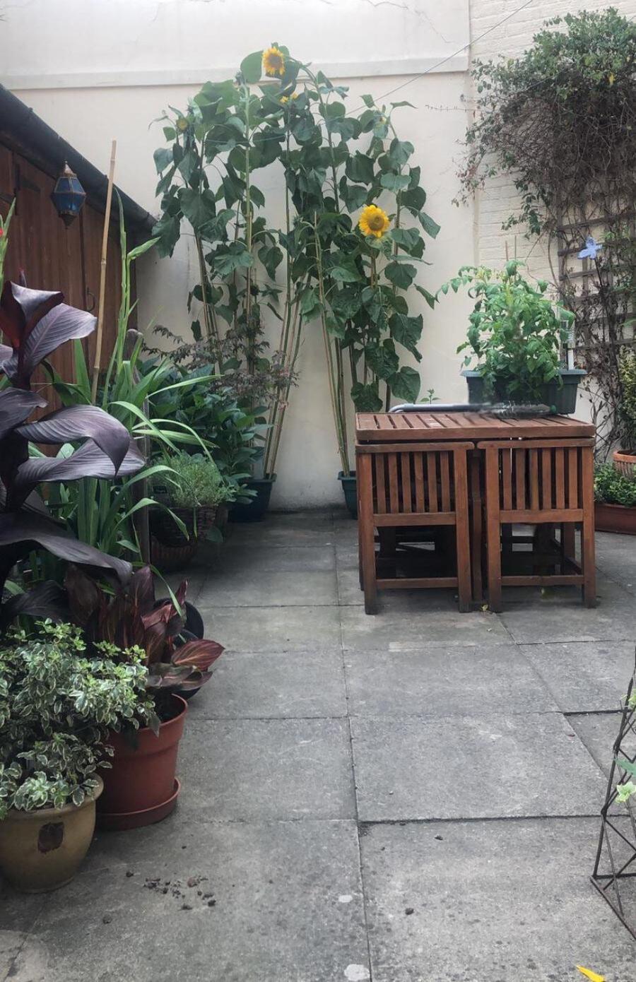 Spacious Private * London