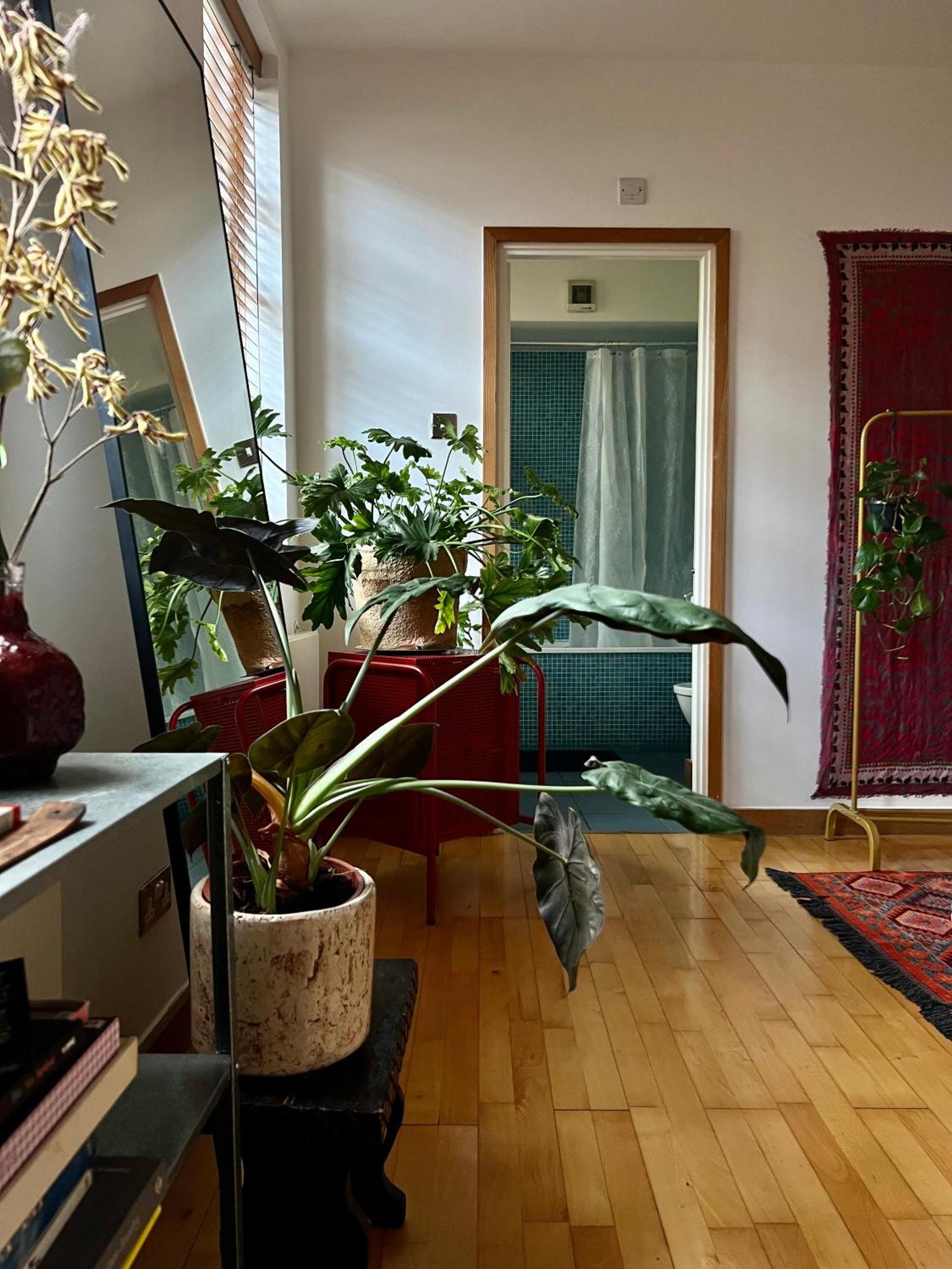 Huge For Recharge And Relaxation In Loft With Sauna In Guest house