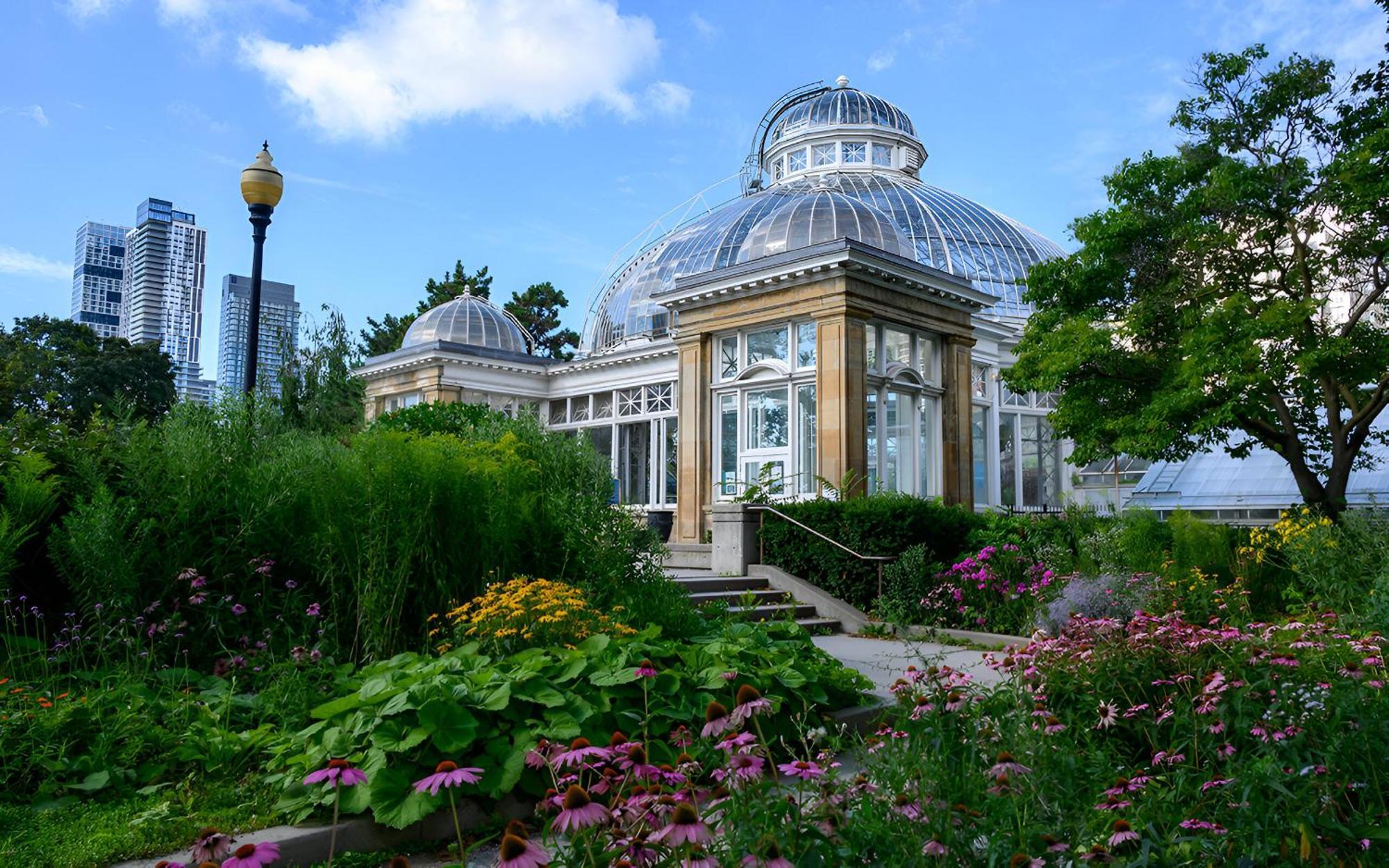 Experience Local: Quaint In Cental Location London