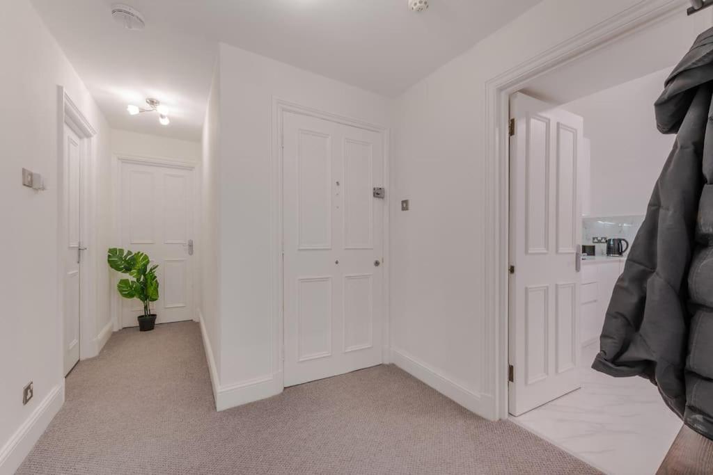 Elegant 1 Bedroom Lower Ground On Harley Street 1h Apartment