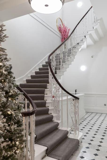 Elegant 1 Bedroom Lower Ground On Harley Street 1h Apartment *