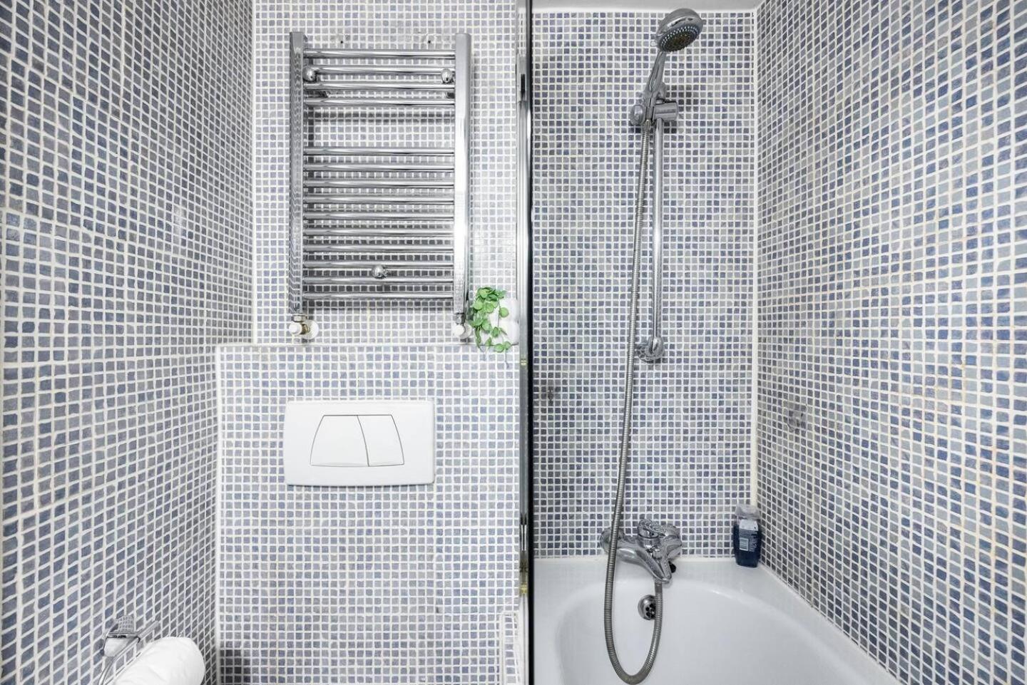 Beautiful With Spacious Garden - Earl's Court *