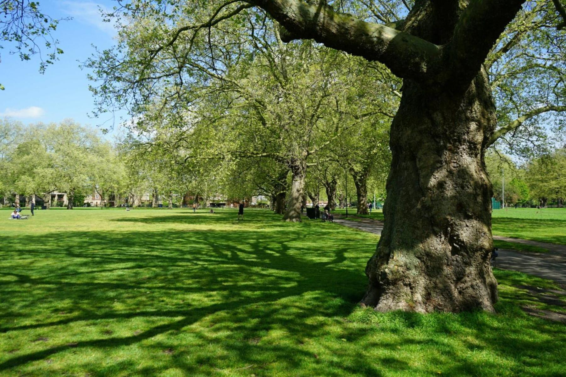 Fields - Escape Londres