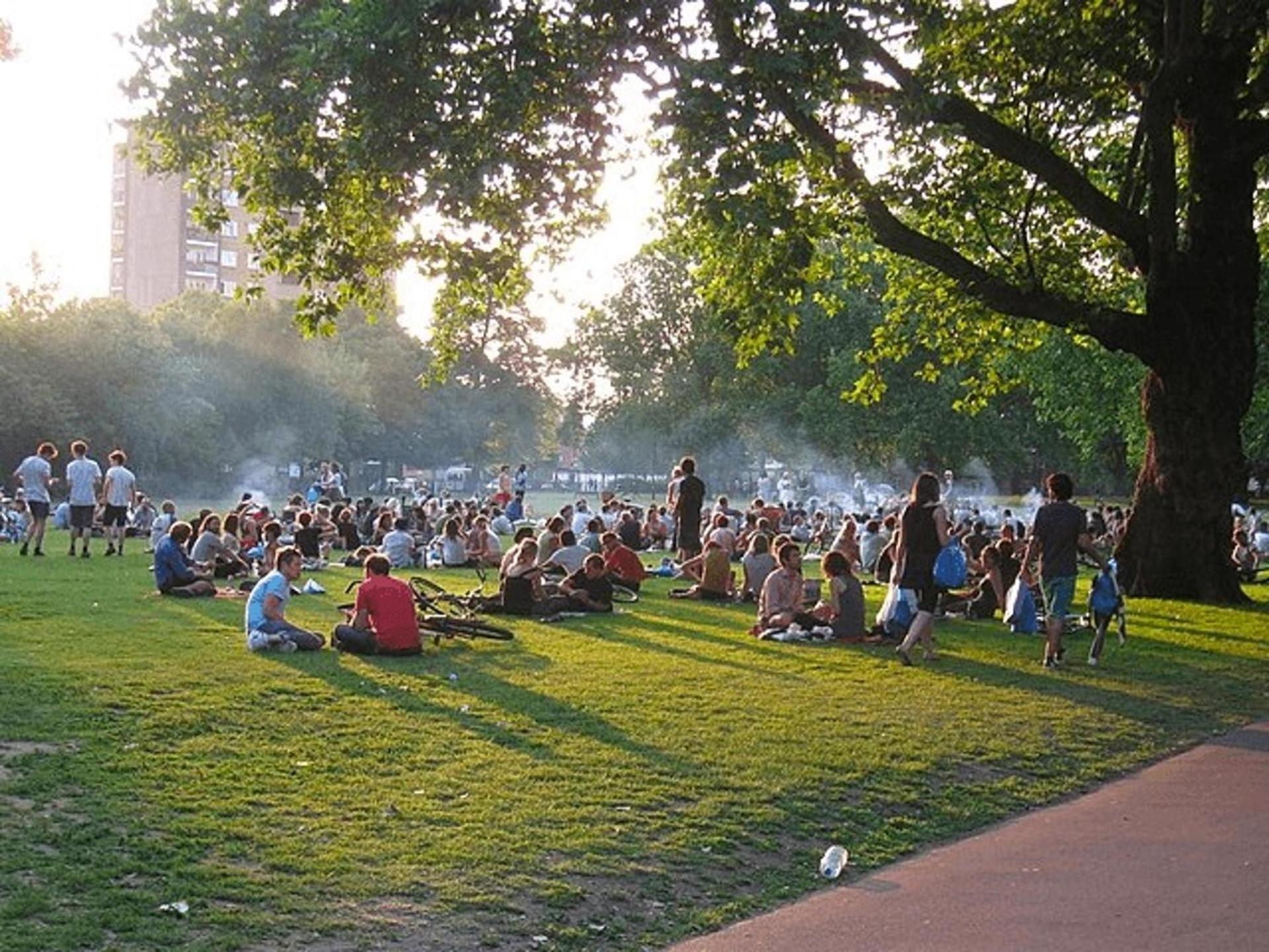 Fields - Escape * Londres