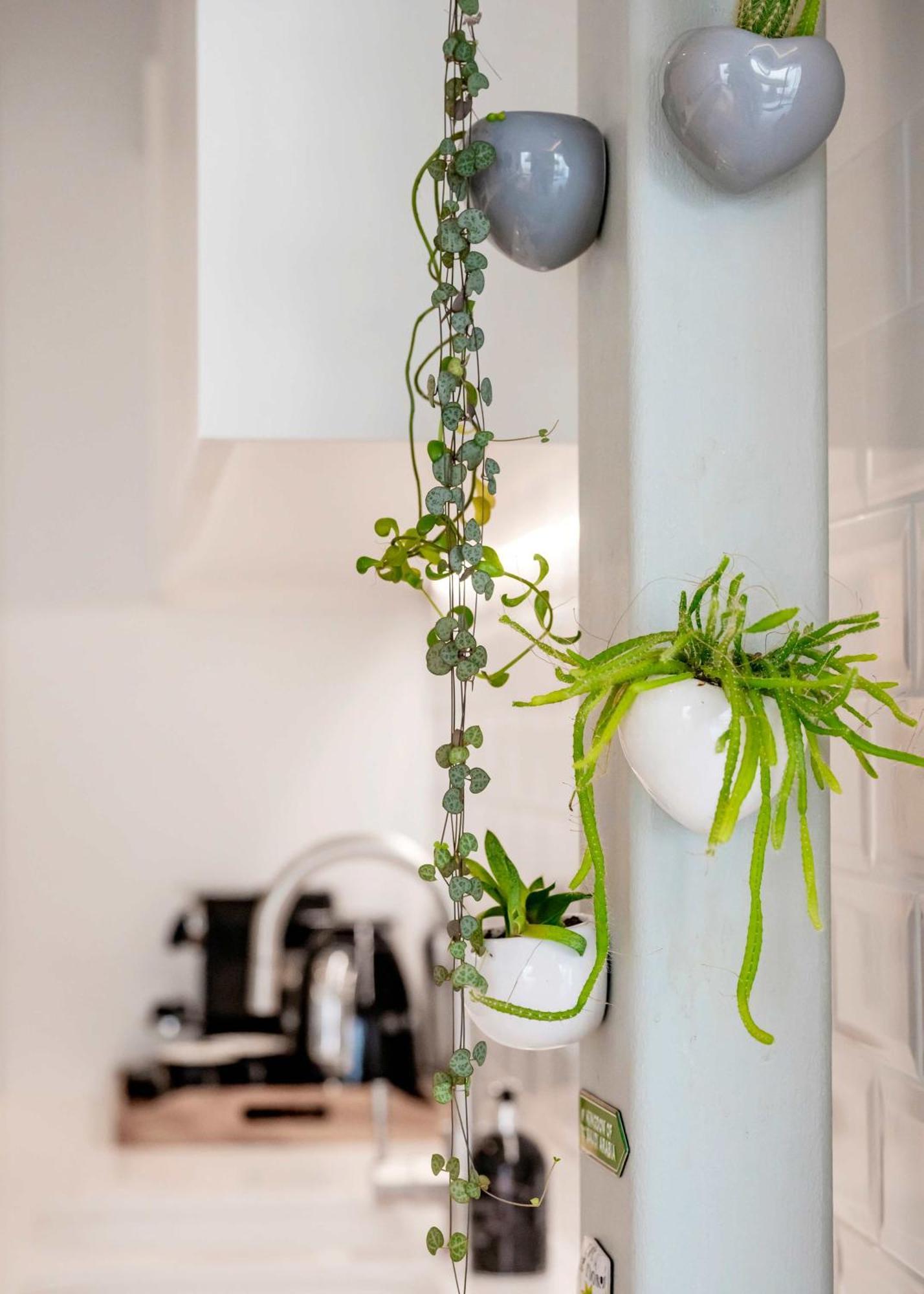 Apartment The Portobello Star - By Out Of Office Lifestyle *