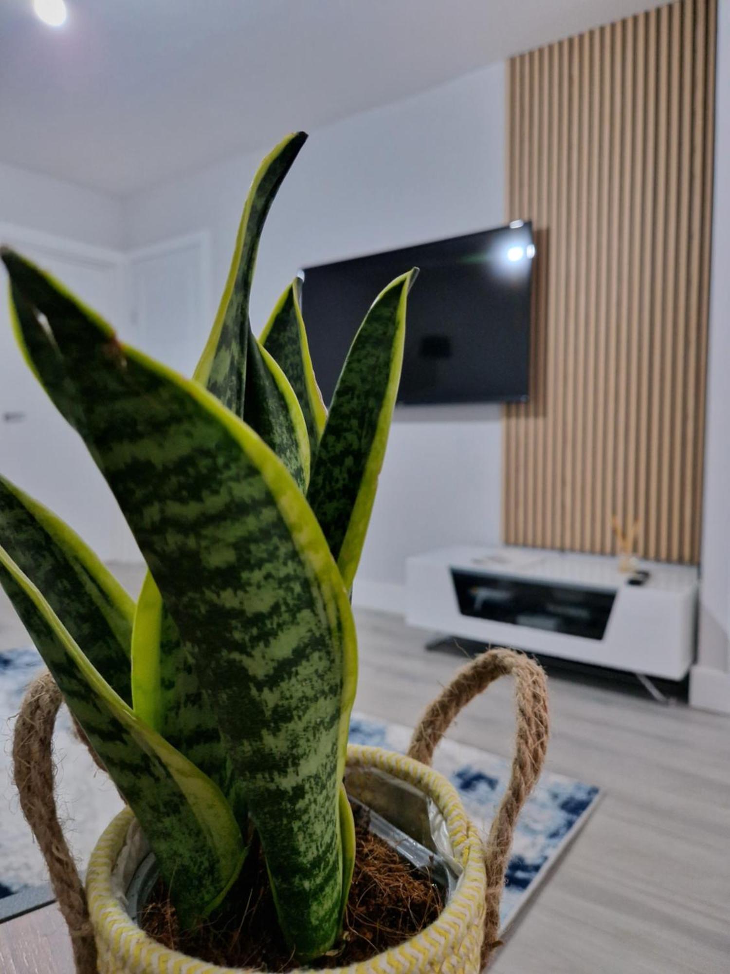 Stylish 2 Bed Home- Short Walk To Tottenham Stadium/stations Ferienhaus