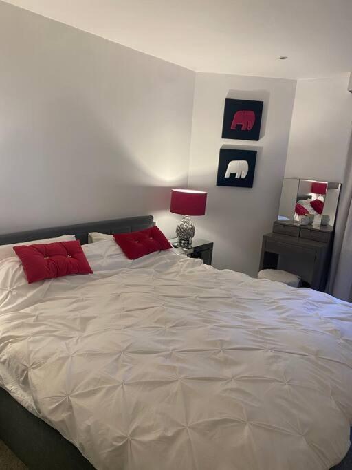 Lovely And Spacious Wimbledon Flat Apartment