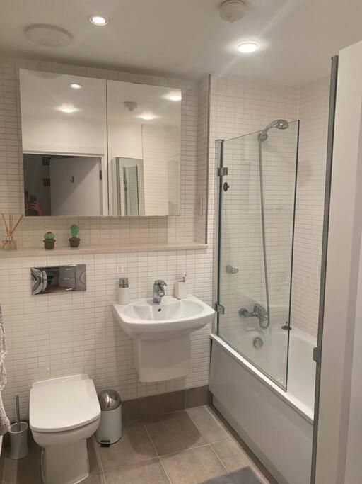 Apartment Lovely And Spacious Wimbledon Flat London