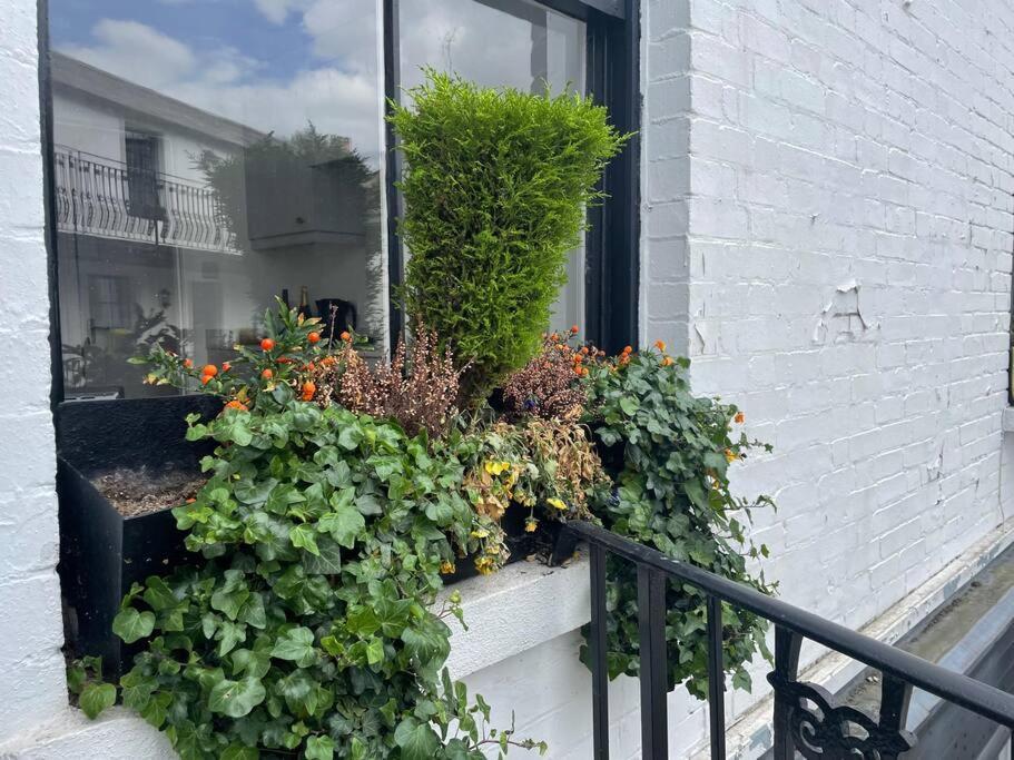 Spacious 1-bedroom In Belsize Village Apartamento Londres