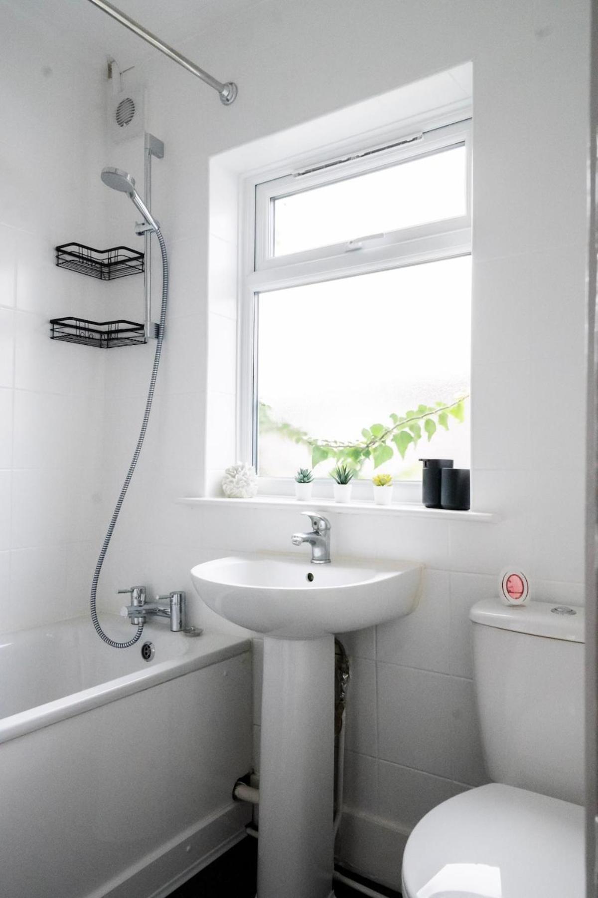 Bright 2-bed Flat With Skylight Attic Apartment