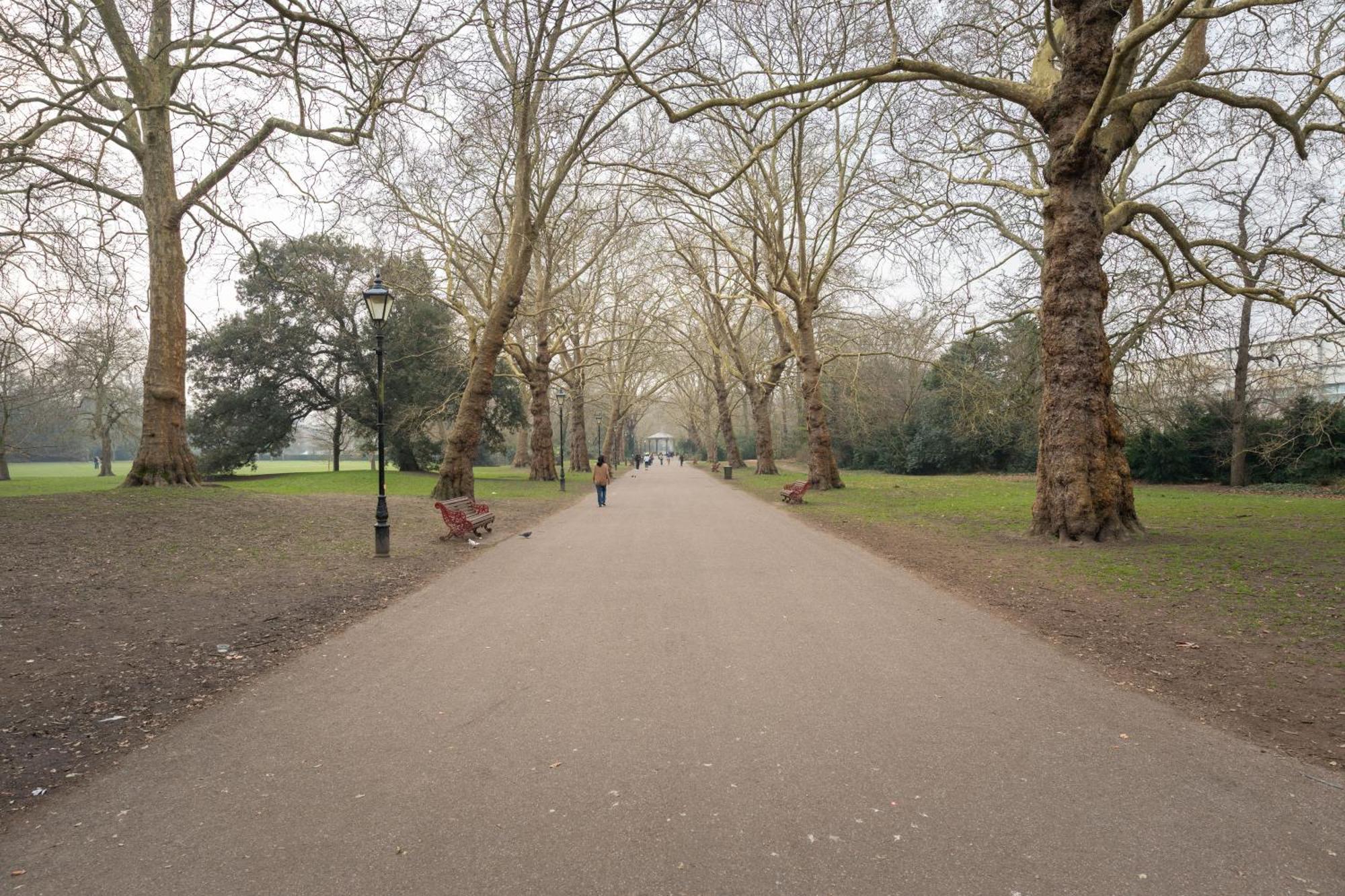Relaxing 1-bed Haven Near Battersea Park *