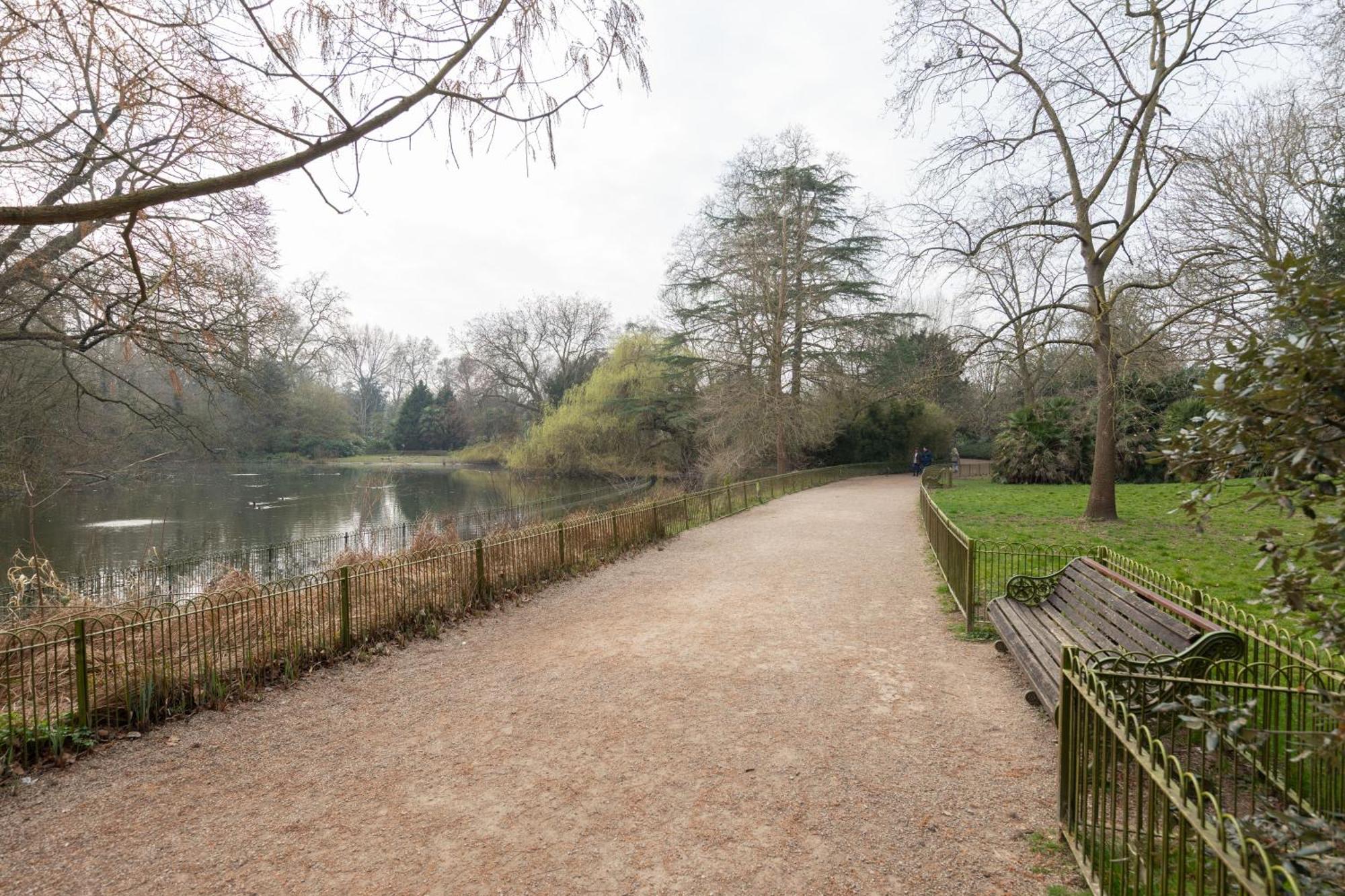 Relaxing 1-bed Haven Near Battersea Park