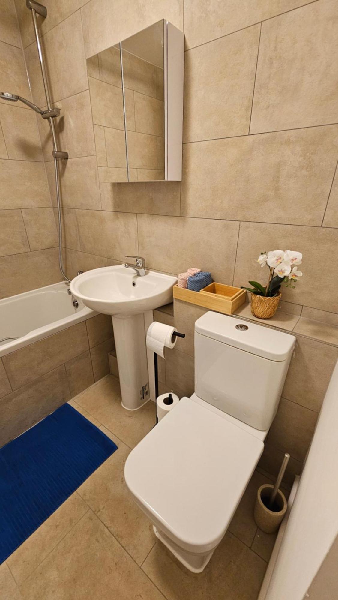 Modern Flat Near London! London