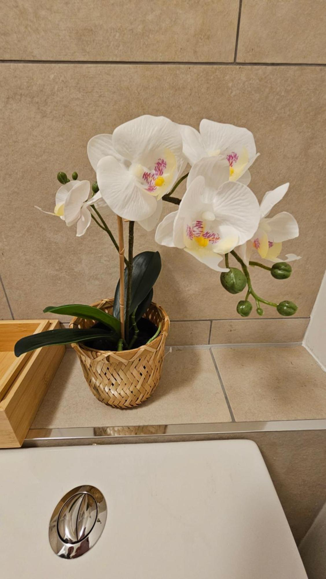Modern Flat Near London! Apartment *
