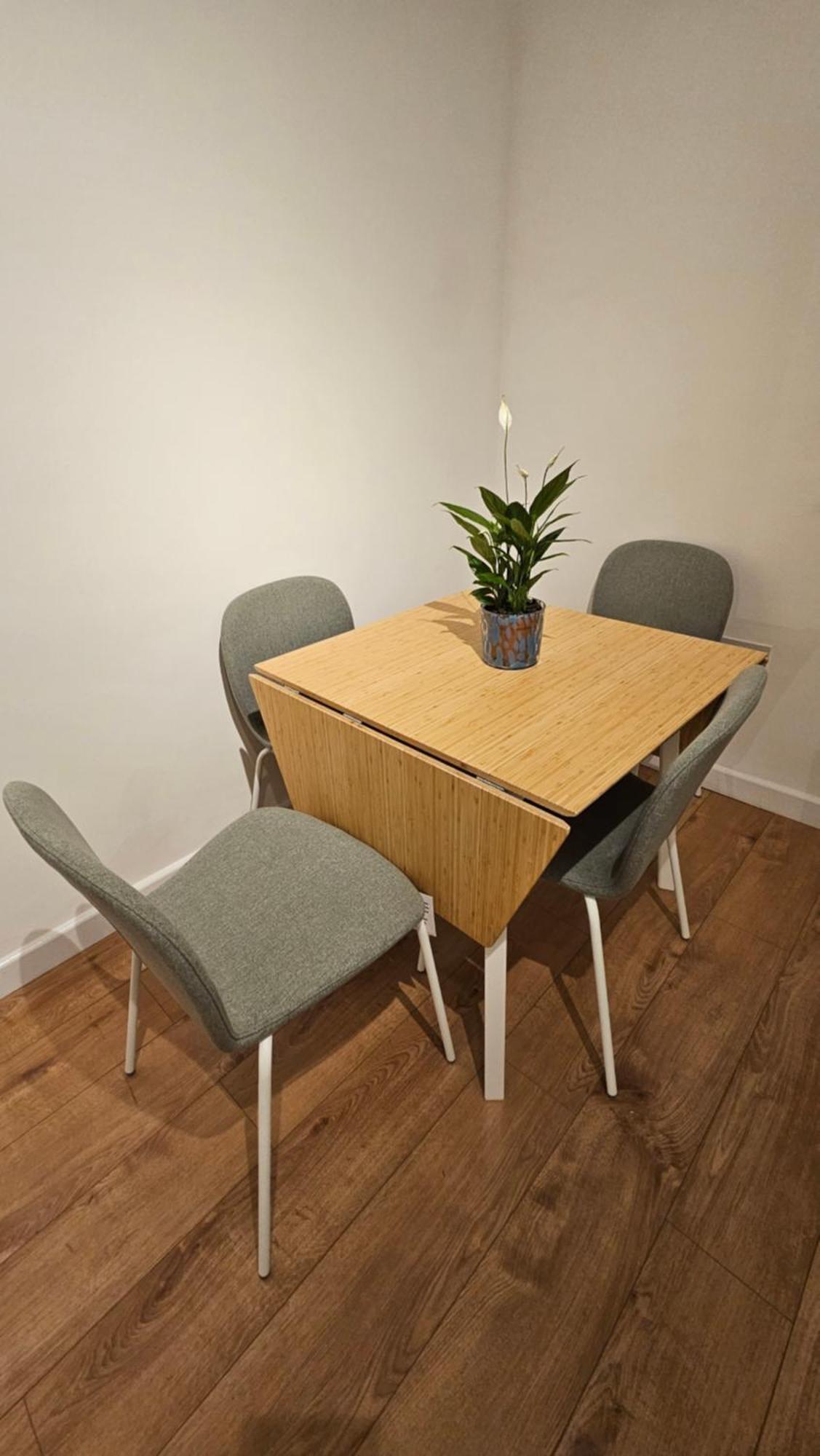 Apartment Modern Flat Near London!