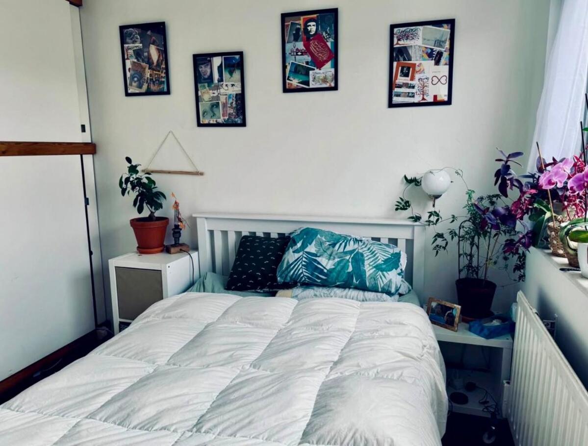 Quiet Cosy Flat In Amazing Location Apartment London