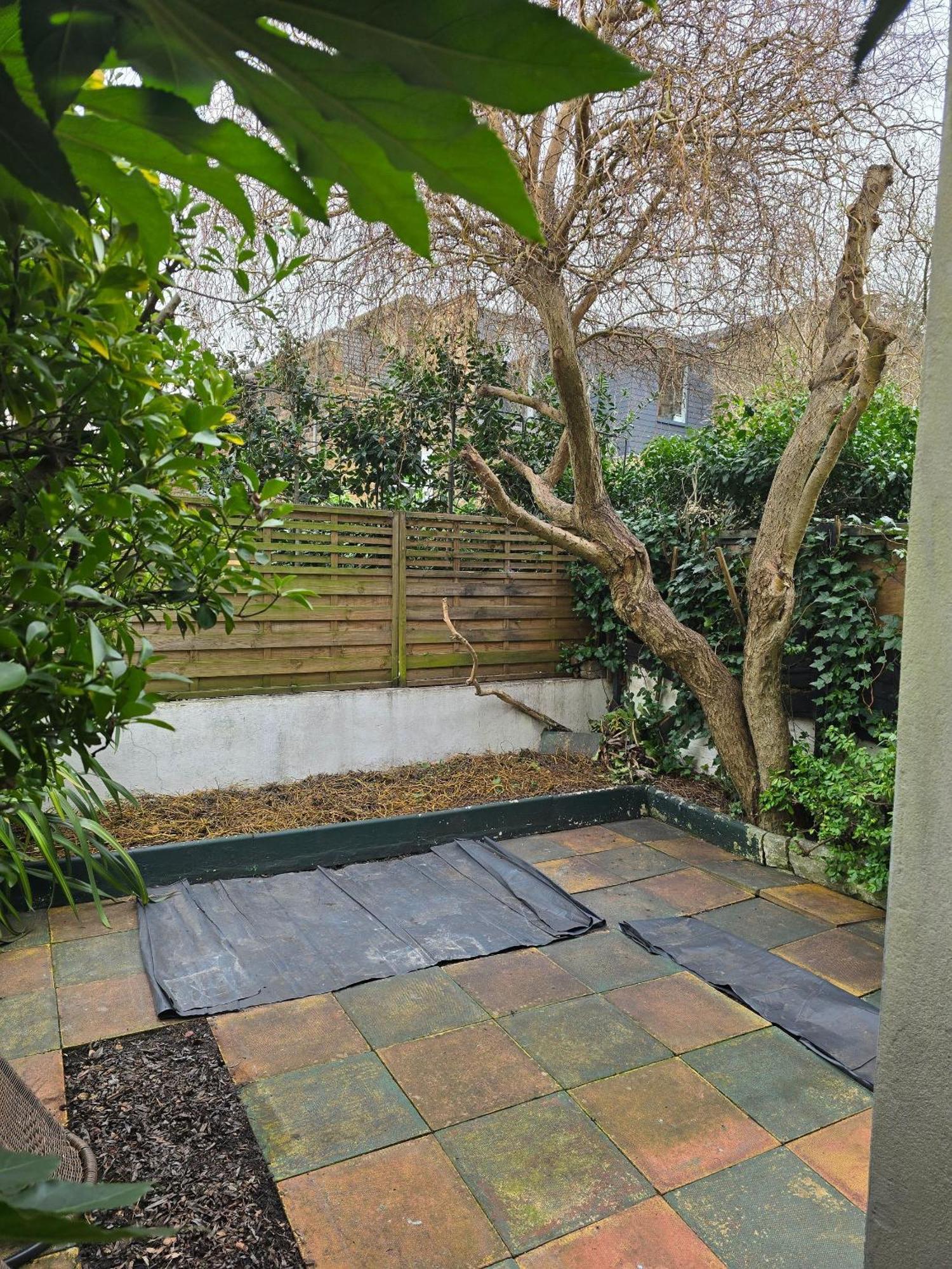 In Guest - Ground Floor Two Bedroom Flat * London