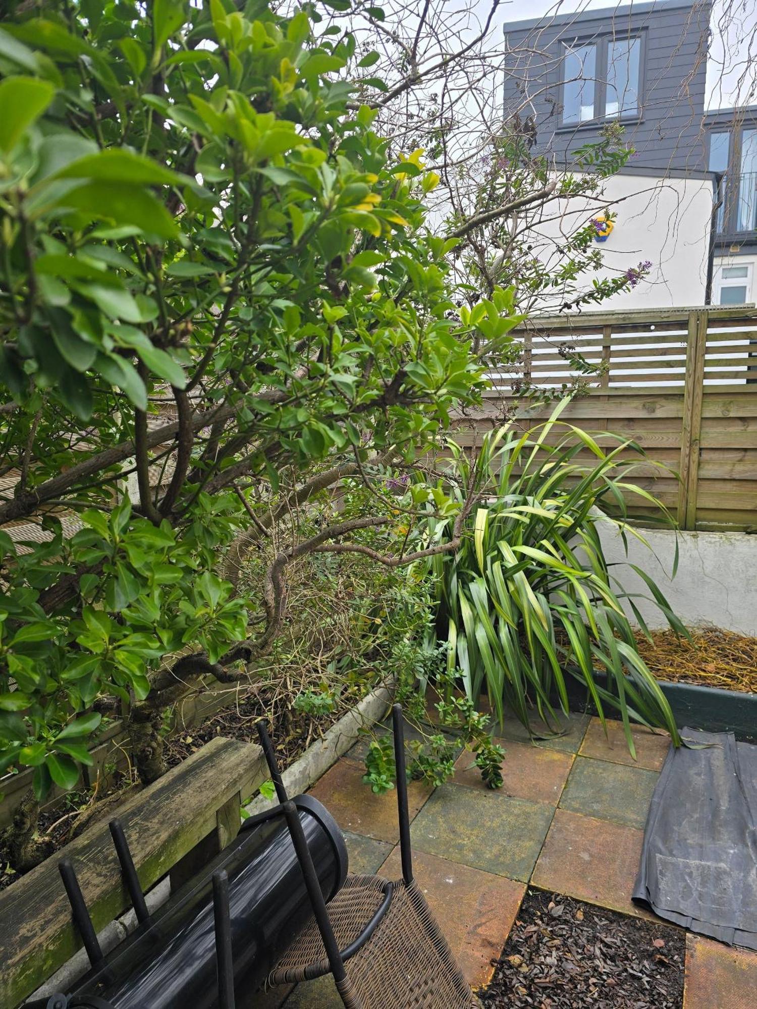 Guest house In Guest - Ground Floor Two Bedroom Flat *