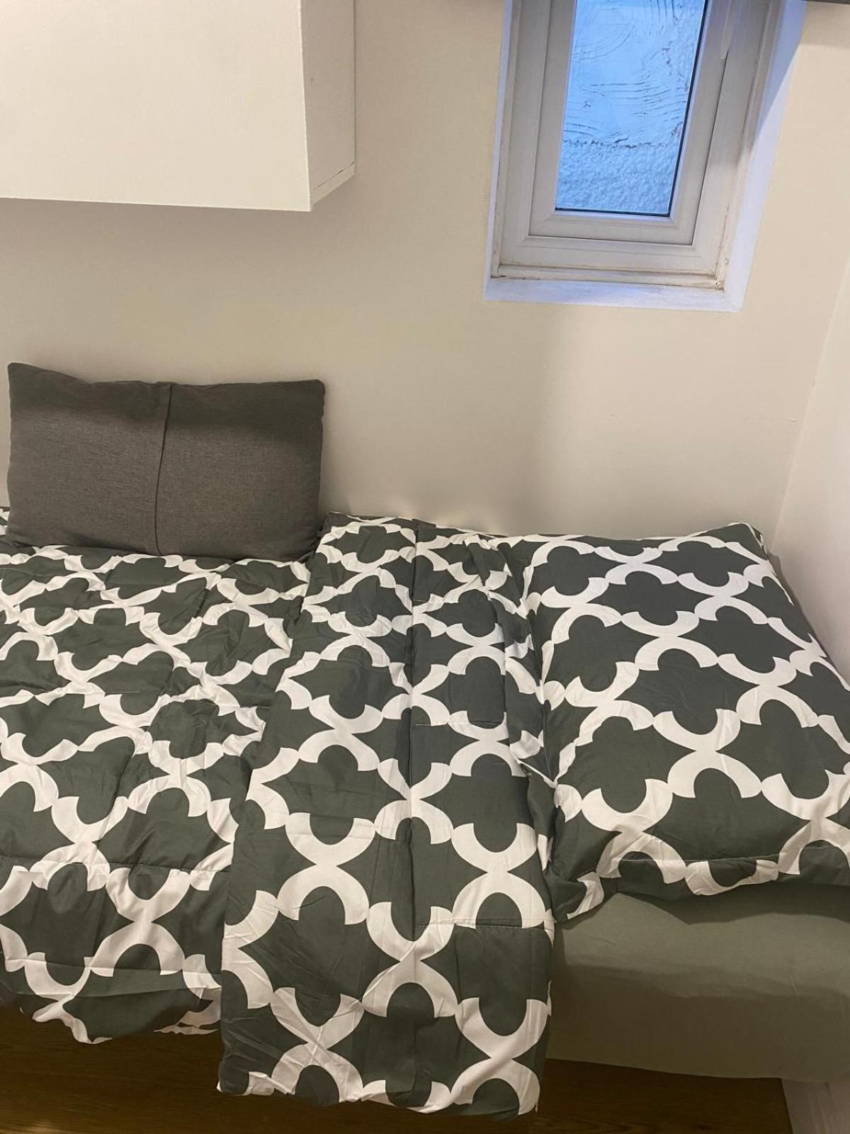 Comfy Private Wembley Stadium 6 Minutes Away Homestay