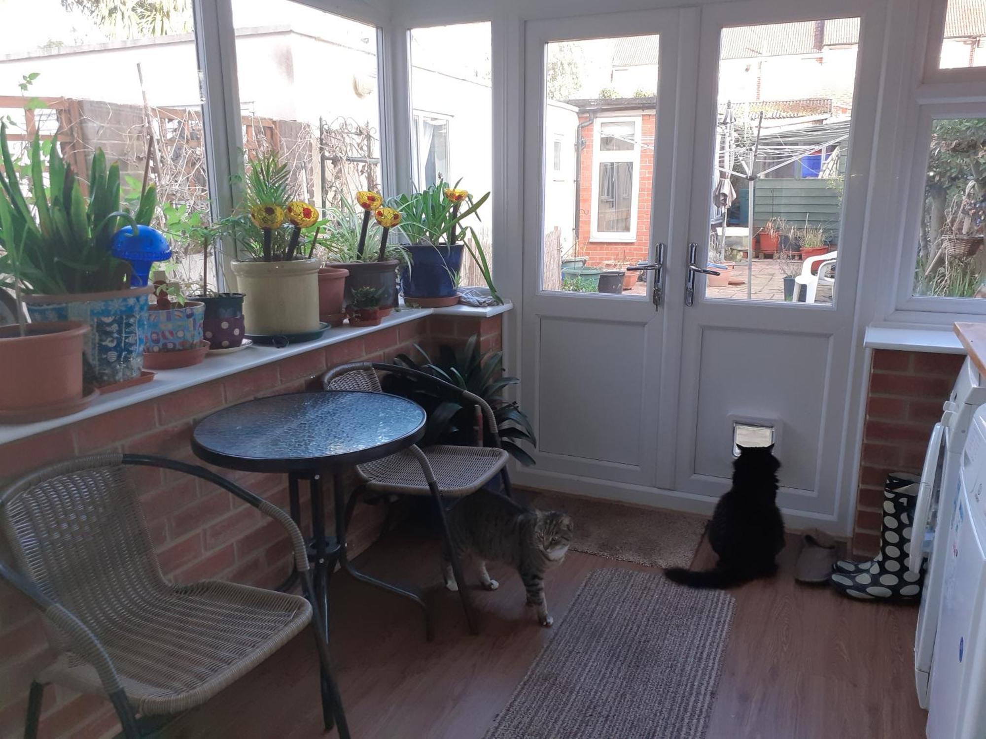 Joanne's Joint Homestay London