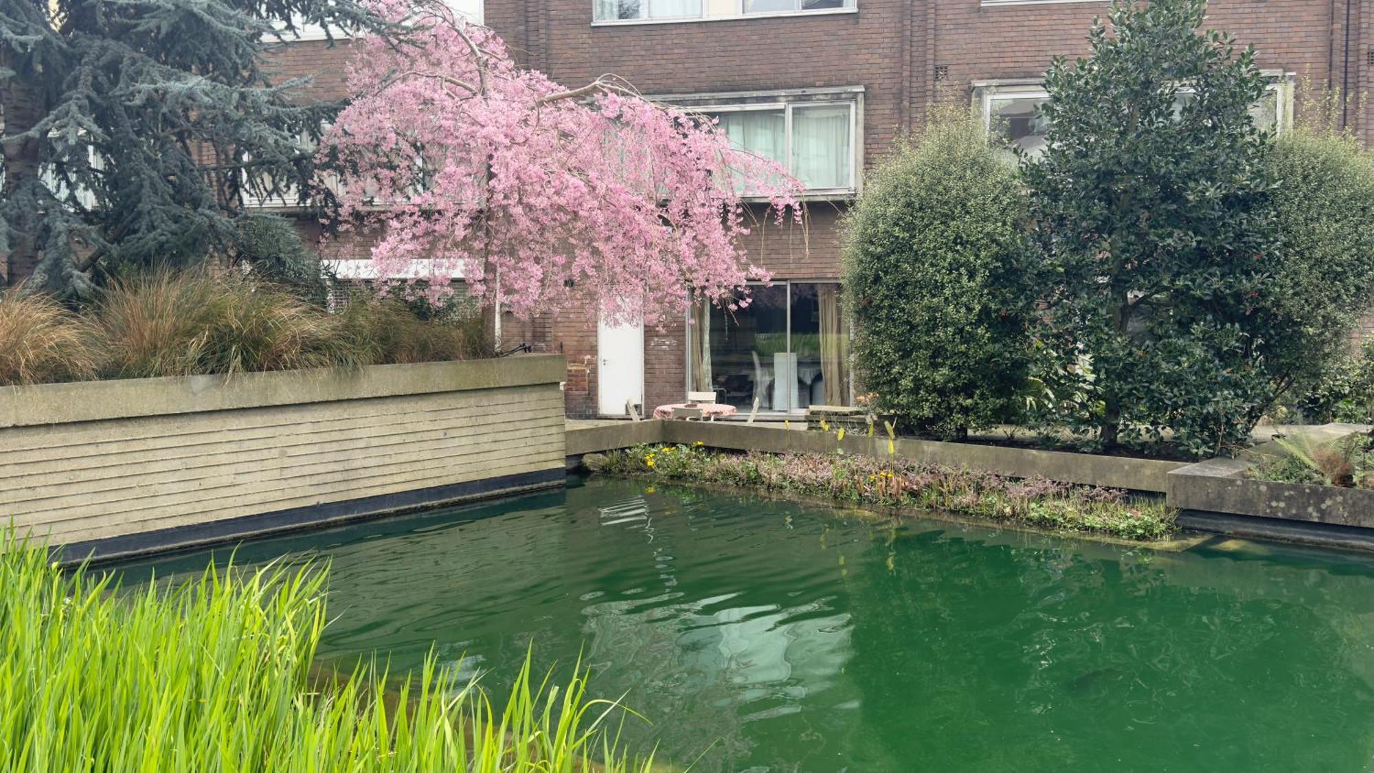 Luxury 2 Bedroom By Aljoori * London