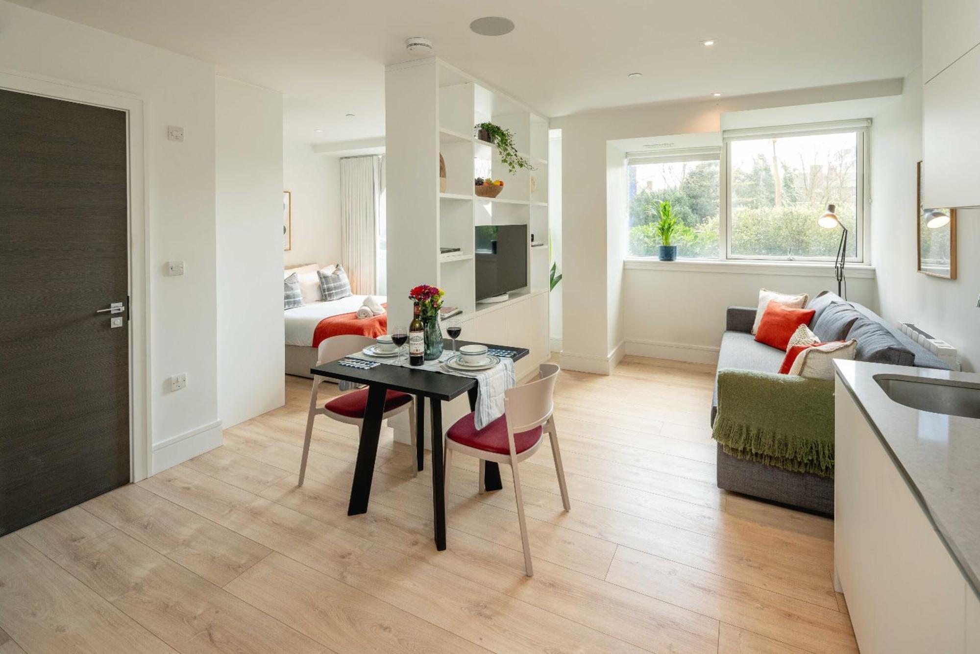 Wembley Stadium By Sleepy Apartment *